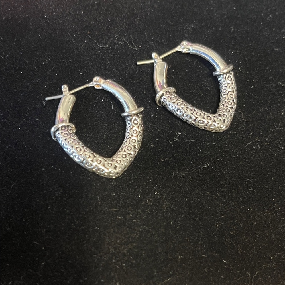 Elegant Silver Hoop Earrings